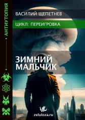 Зимний мальчик Василий Щепетнев