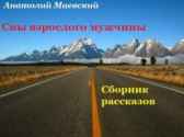 Сны взрослого мужчины Анатолий Маевский
