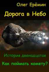 Как поймать комету? Олег Ерёмин