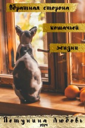 Обратная сторона кошачьей жизни. Любовь Петунина