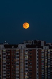 Тишина Анастасия Комарова