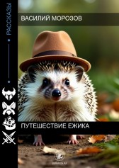 Путешествие Ежика Василий Морозов