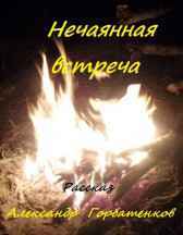 Нечаянная встреча Александр Горбатенков