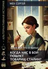 Когда нас в бой пошлет товарищ Сталин? Мех Сергей