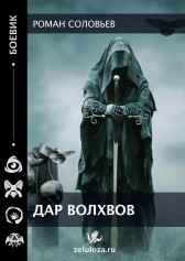 Дар волхвов Роман Соловьев