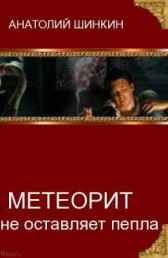 Метеорит не оставляет пепла Анатолий Шинкин