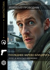 Последнее зарево блицкрига Вергилий проводник
