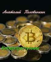 Киберпреступник Анатолий Половинкин