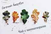 Чай с миниатюрами Евгений А. Авербух