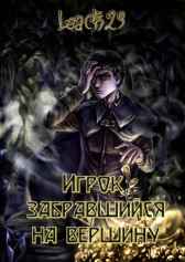 Игрок, забравшийся на вершину. Том 1 Leach23
