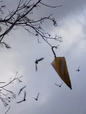 Ветер перемен