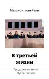Мустанг и Чика. Книга 2. Вспышка над стадионом Раин Максимилиан