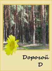 Дорогой Д Орехова Дарья