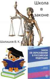 Школа в законе Виктор Шалашов