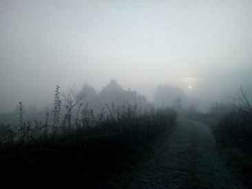 Морось и туман
