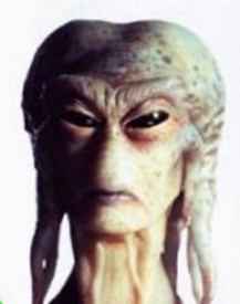 Раса Циви. Кочевники