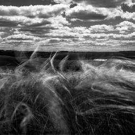 фотоВладимираВоронина