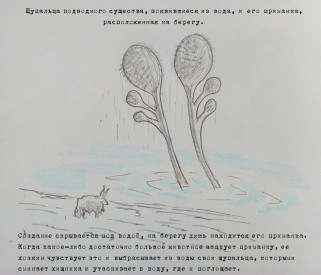 Иллюстрация к книге