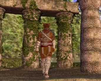 Иллюстрация к книге