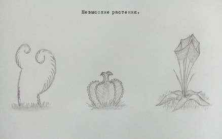 Иллюстрация к книге