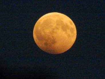 Пионерская Луна