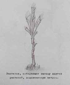 Иллюстрация к книге