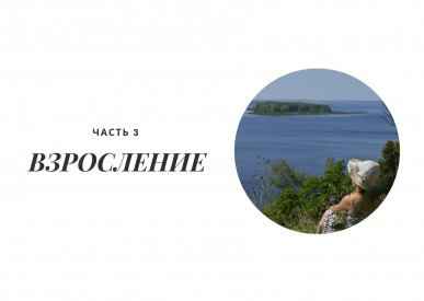 Иллюстрация к книге