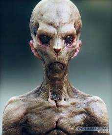 Цасм. Третья цивилизация Мицелл