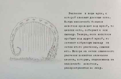 Иллюстрация к книге