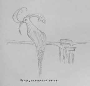 Иллюстрация к книге