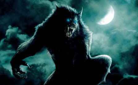 Иллюстрация к книге