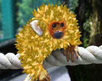 Иллюстрация к книге