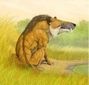 Гиеновый волк