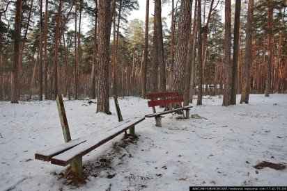 Иллюстрация к книге
