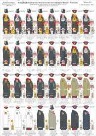 Образцы формы