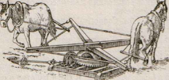     Конный ворот 