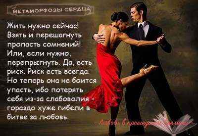 Иллюстрация к книге