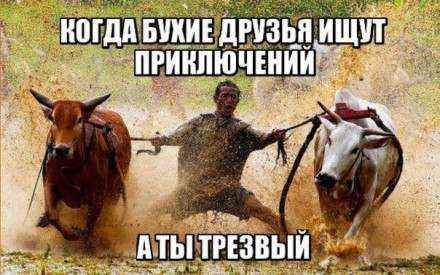 Иллюстрация к книге