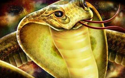 Иллюстрация к книге