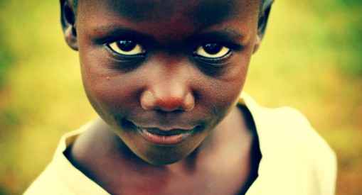 Джимми Колючка