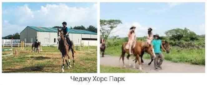 Иллюстрация к книге