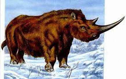 Наши "друзья"