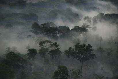 Сезон дождей в Калифорнии