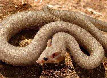 Иллюстрация к книге