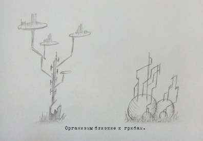 Иллюстрация к книге