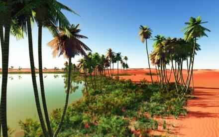 Иллюстрация к книге