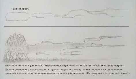 Иллюстрация к книге