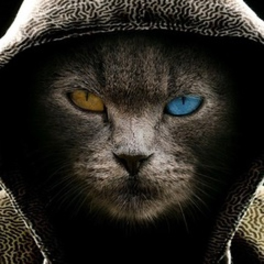 Денис Алиев