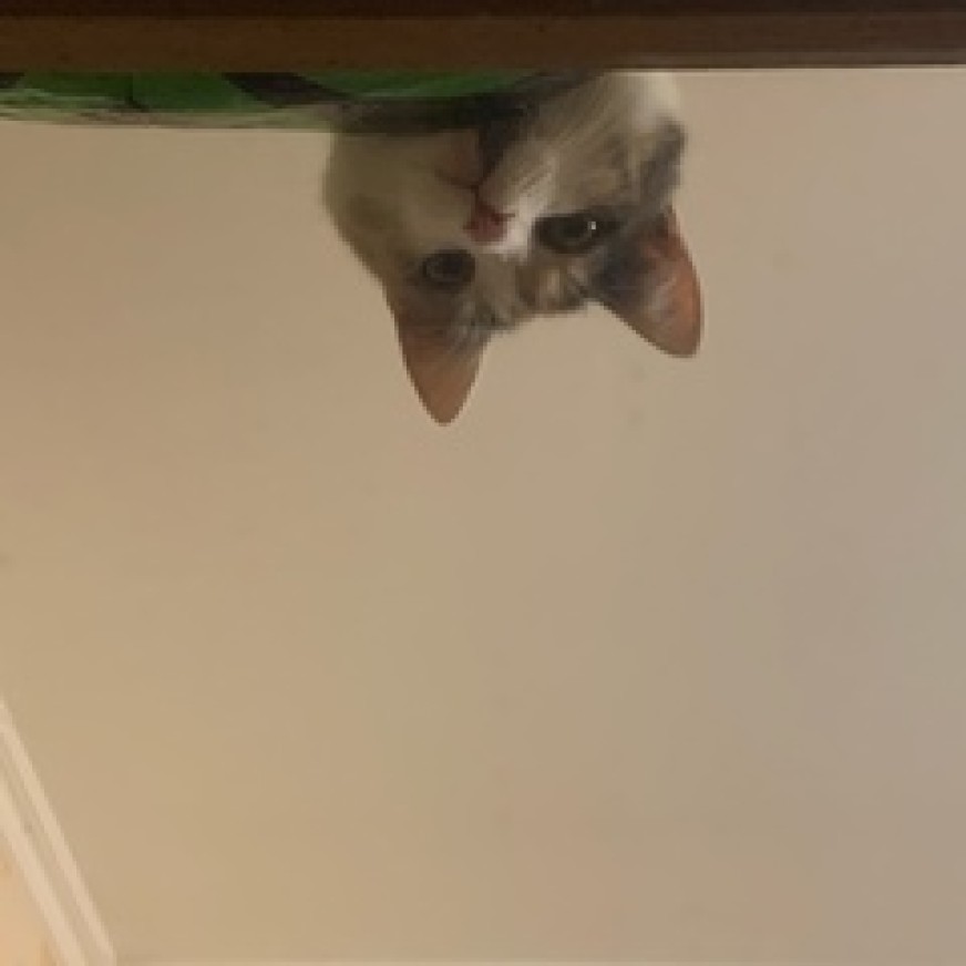 Саша Виноградова