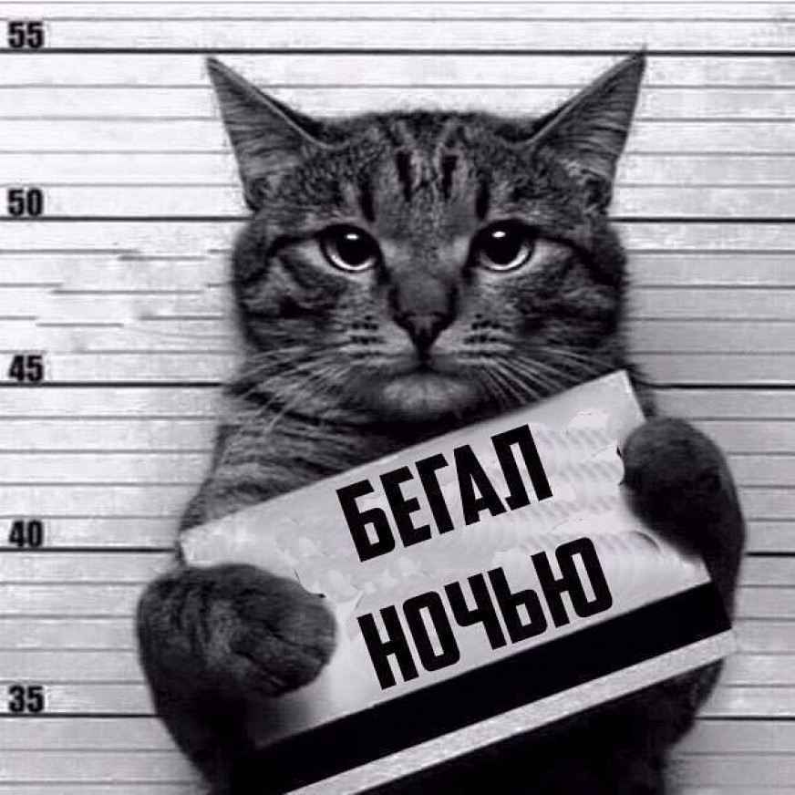 Бармалейкин